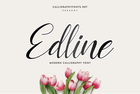 Edline Font Review: Elevating Web Design with Elegant Script