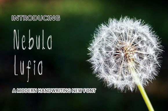 Nebula Lufia: A Handwritten Typeface for Modern Web Design