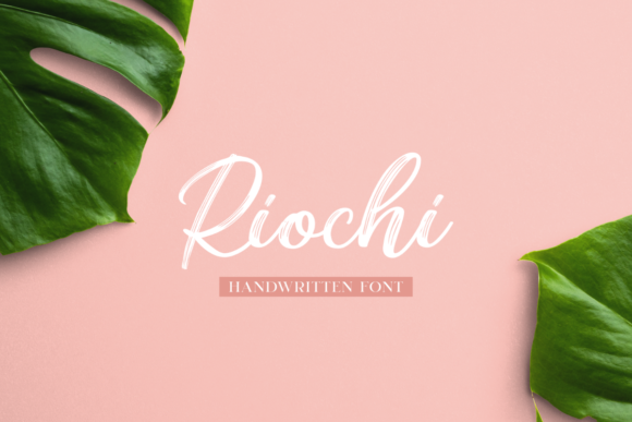 Riochi Font: A Designer's Take on Versatile Branding