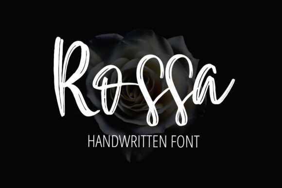 Rossa: A Sweet Brushed Typeface for Modern Branding