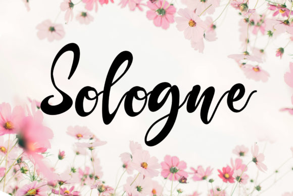 Sologne: The Elegant Handwritten Font for Polished Branding
